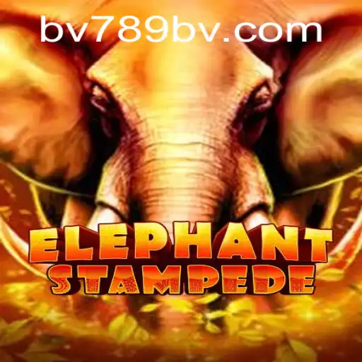 bv789 PH Login Casino Withdrawal